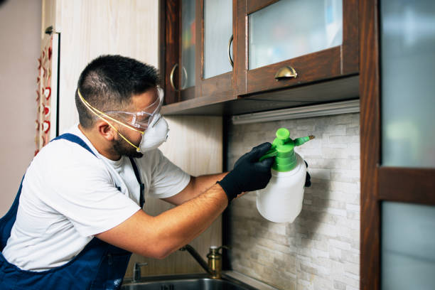 Best Ant Control Services  in Mi Wuk Village, CA