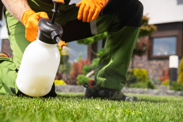 Best Emergency Pest Control  in Mi Wuk Village, CA