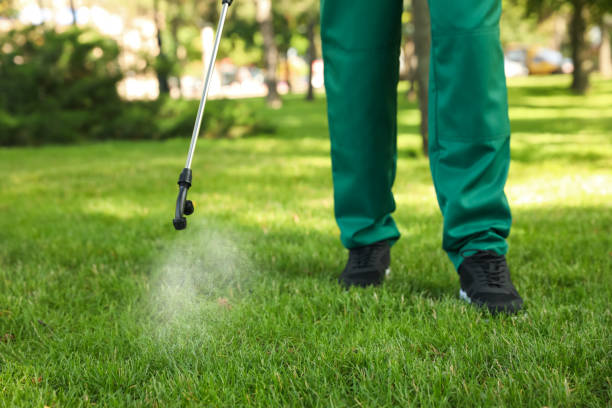Pest Control for Restaurants in Mi Wuk Village, CA